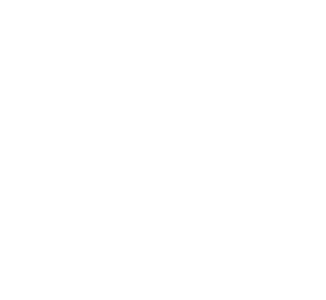 体育业务增长 - 开云